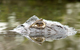 Costa Rica Expeditions