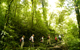 Costa Rica Expeditions