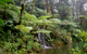 Costa Rica Expeditions
