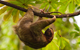 Costa Rica Expeditions