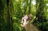 Costa Rica Guided Nature Walks