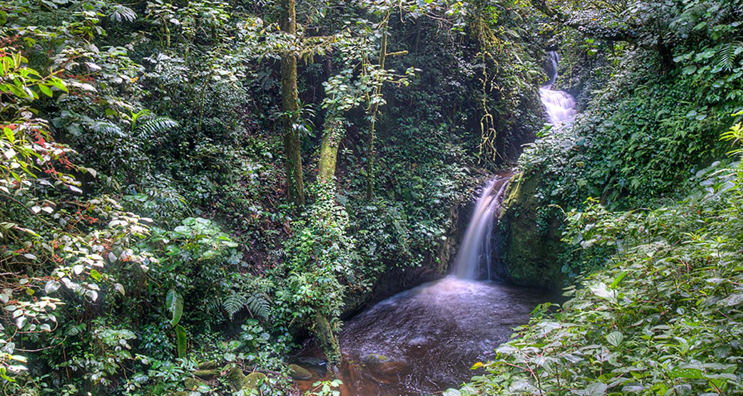 Monteverde Reserve Waterfall