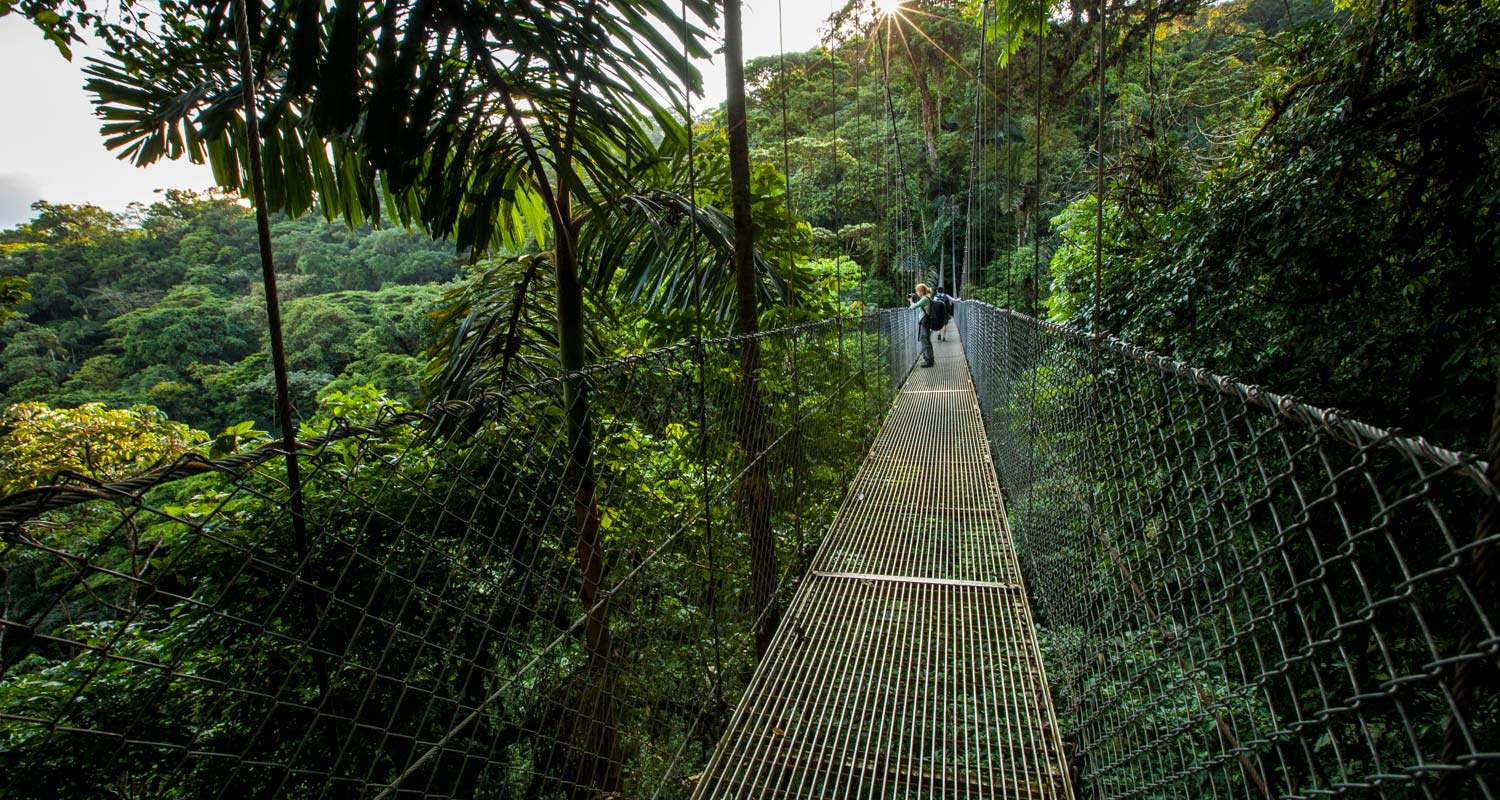 Hanging Bridges at Arenal