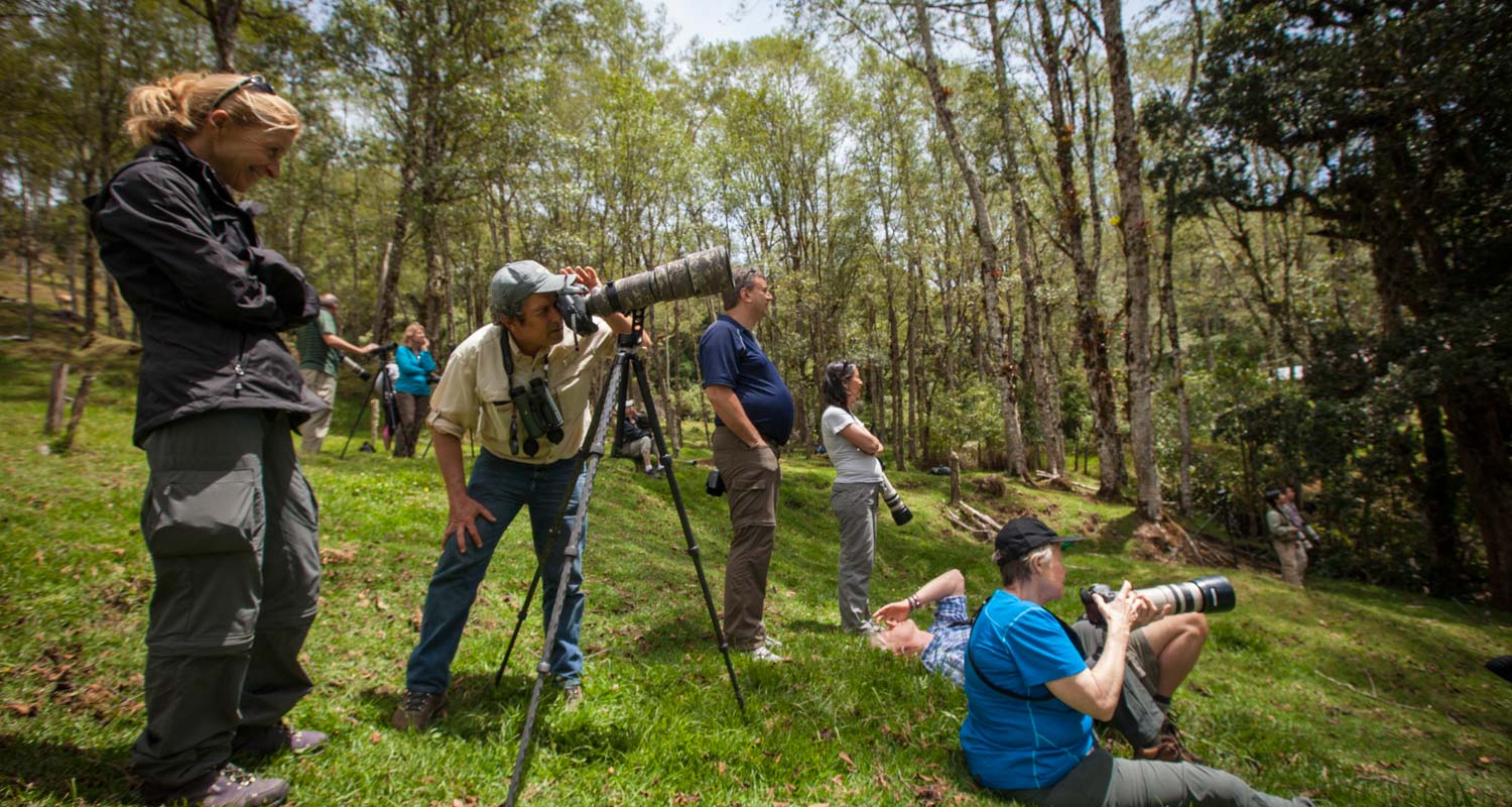 Waiting for a Quetzal