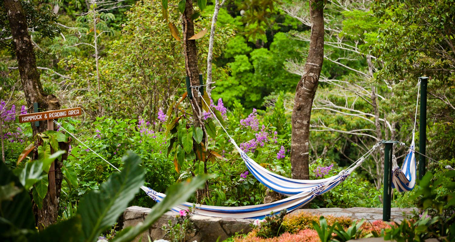 Monteverde Lodge Hammocks Area