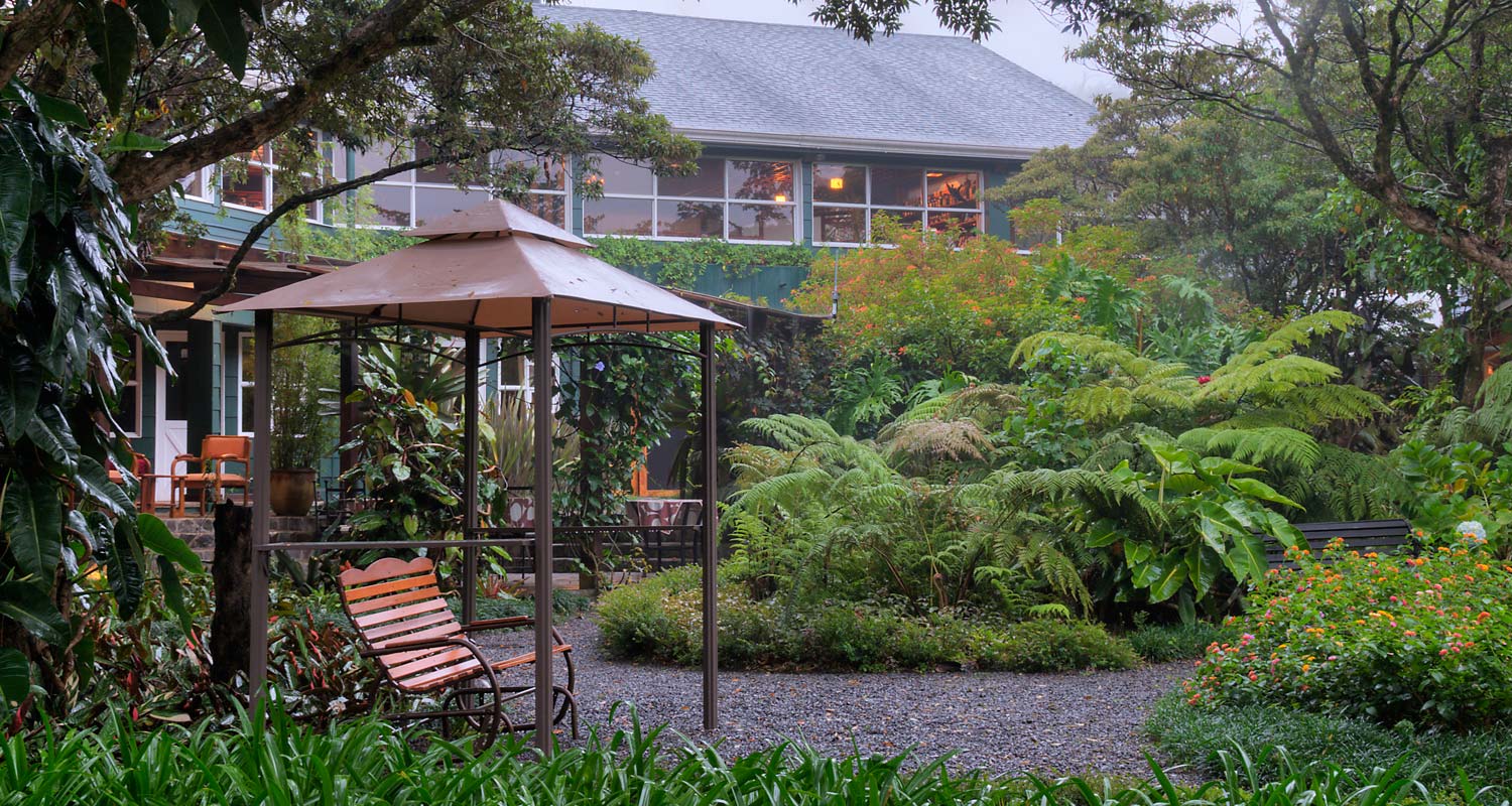Monteverde Lodge´s Back area