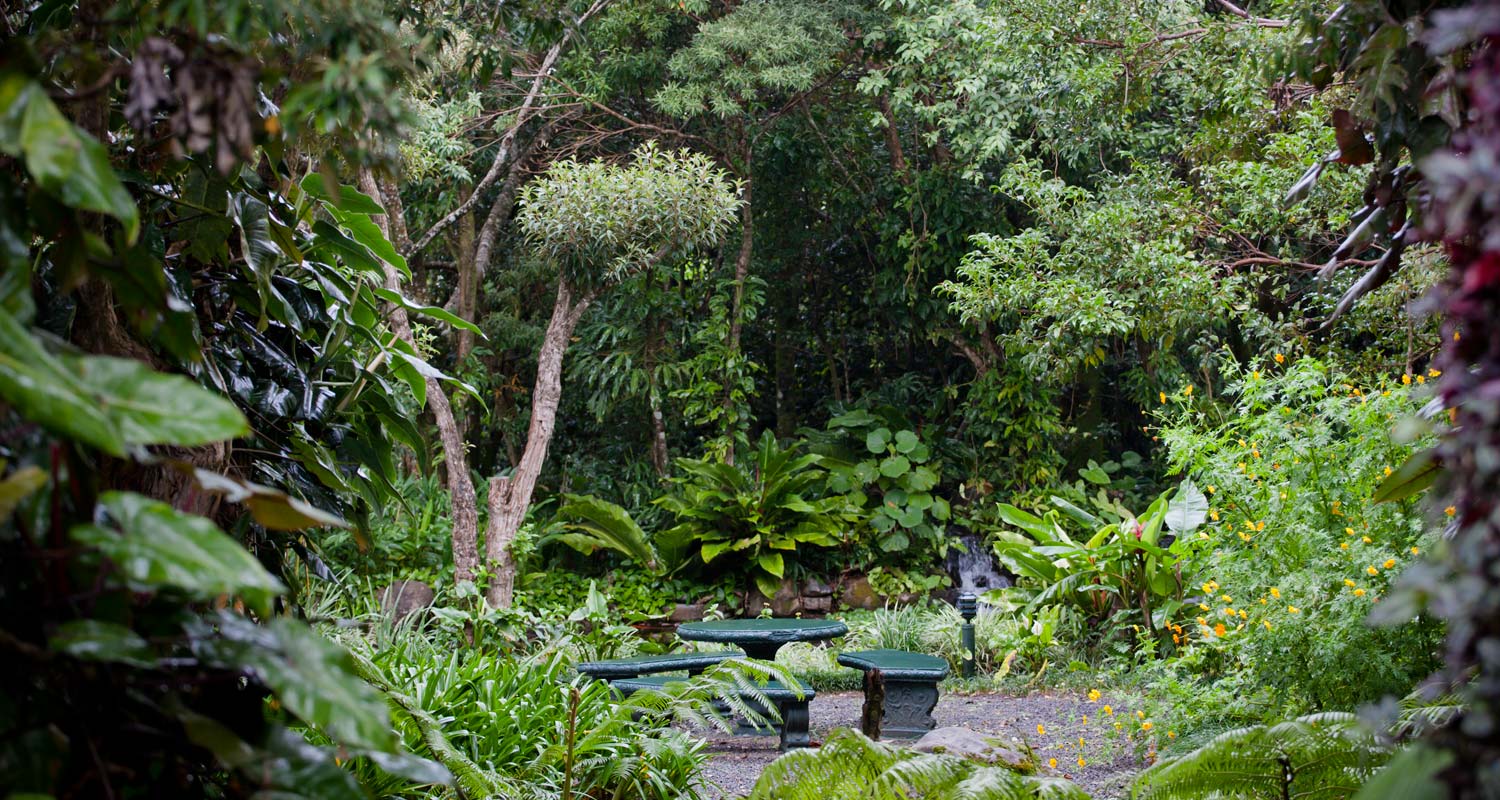 Monteverde Lodge´s Gardens