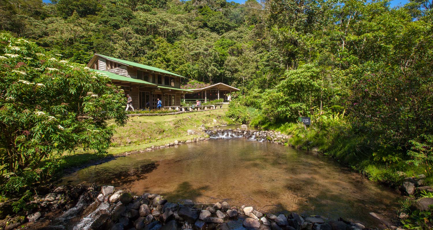 Bosque de Paz Loge Landscape