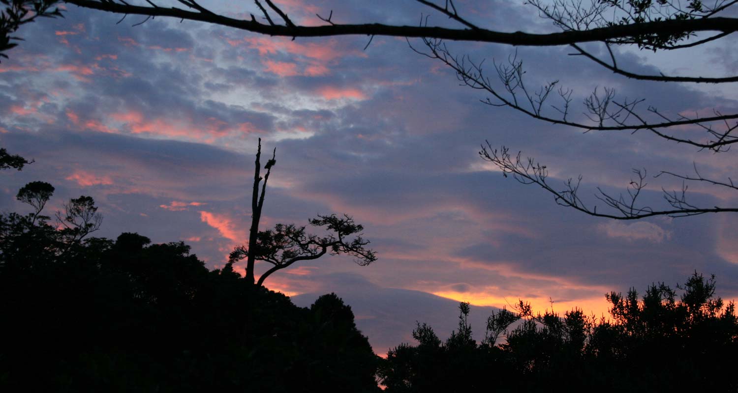 Sunset in Monteverde