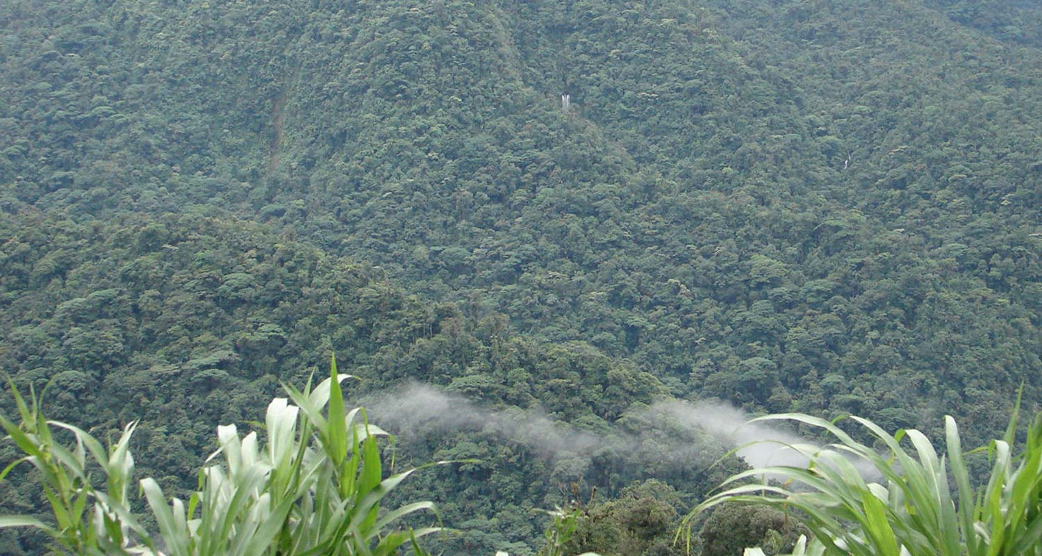 Braulio Carillo National Park