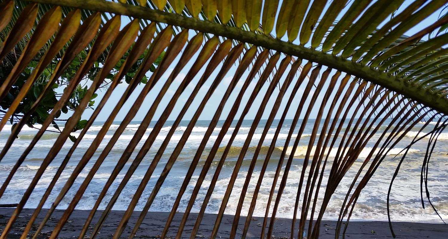 Palm Beach
