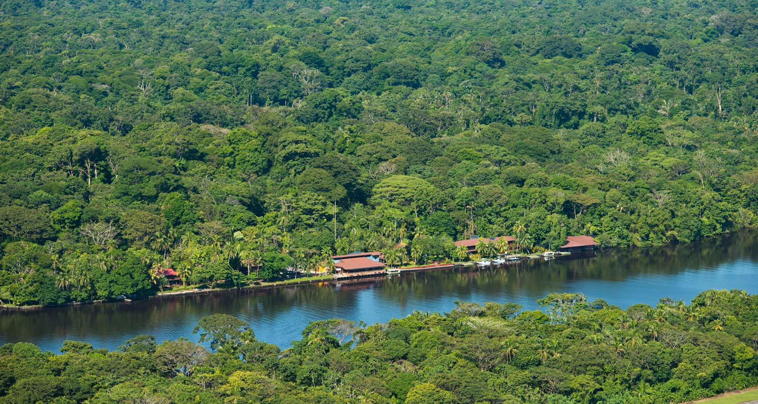 Tortuguero Area from the air