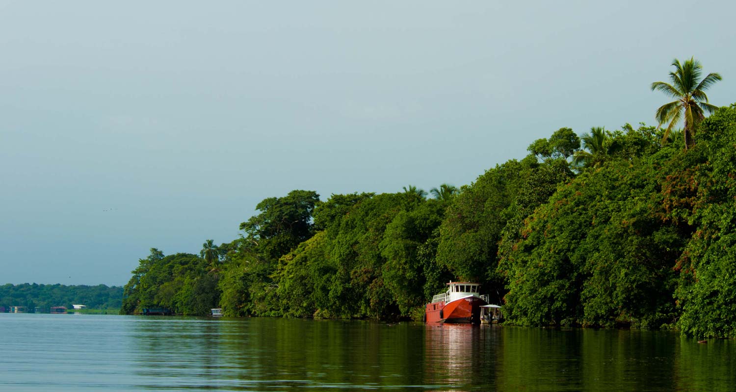 Tortuguero Area