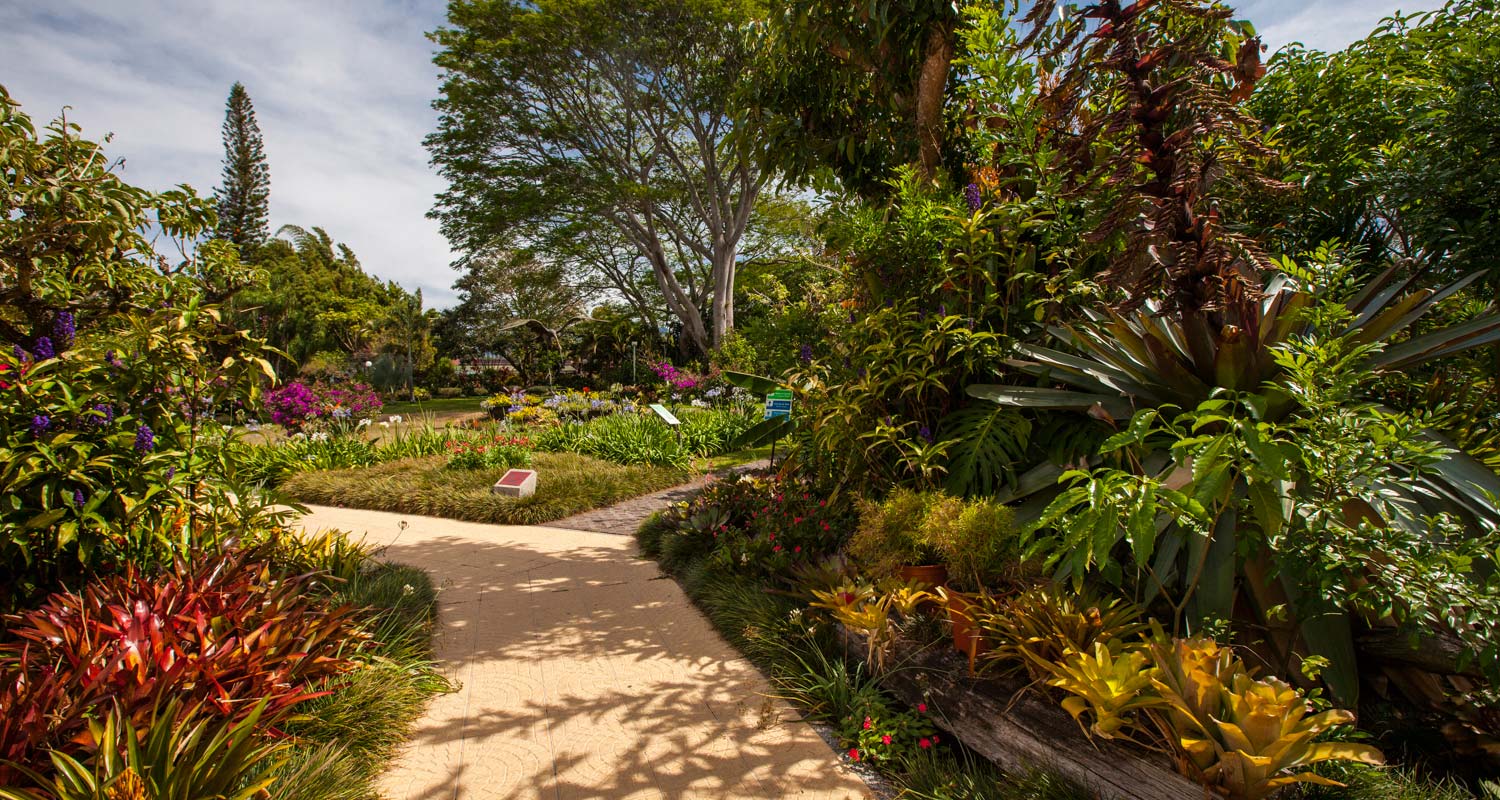 Bougainvillea Hotel Gardens