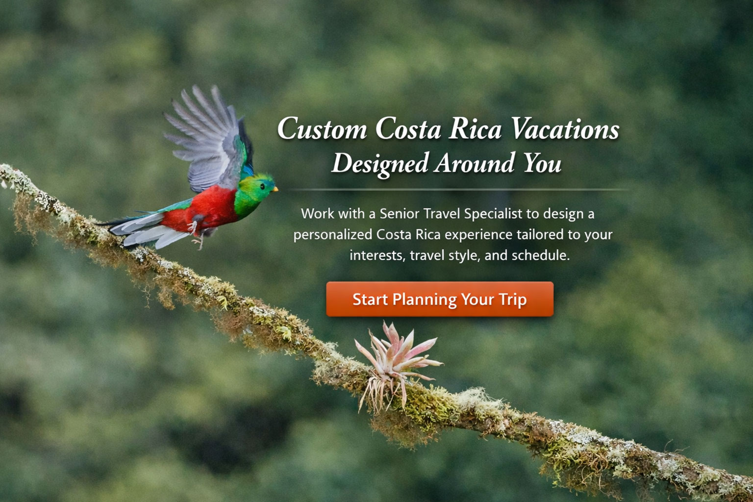 Custom Costa Rica Vacations Designed Around You — Start Planning Your Trip